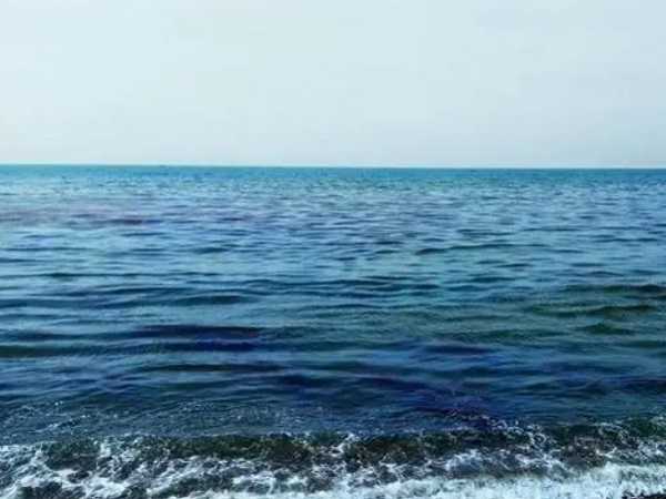 日本核廢水將排海-影響何以估量？